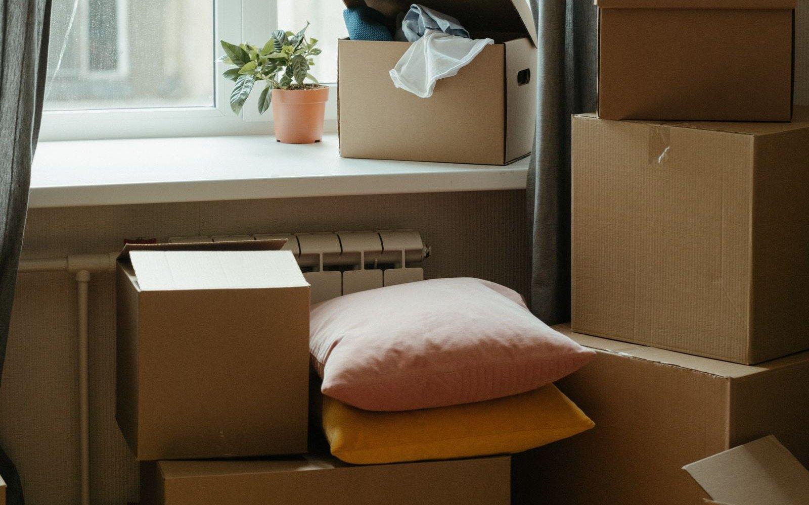 Cartons, coussins et plante près d’une fenêtre le jour d’un déménagement